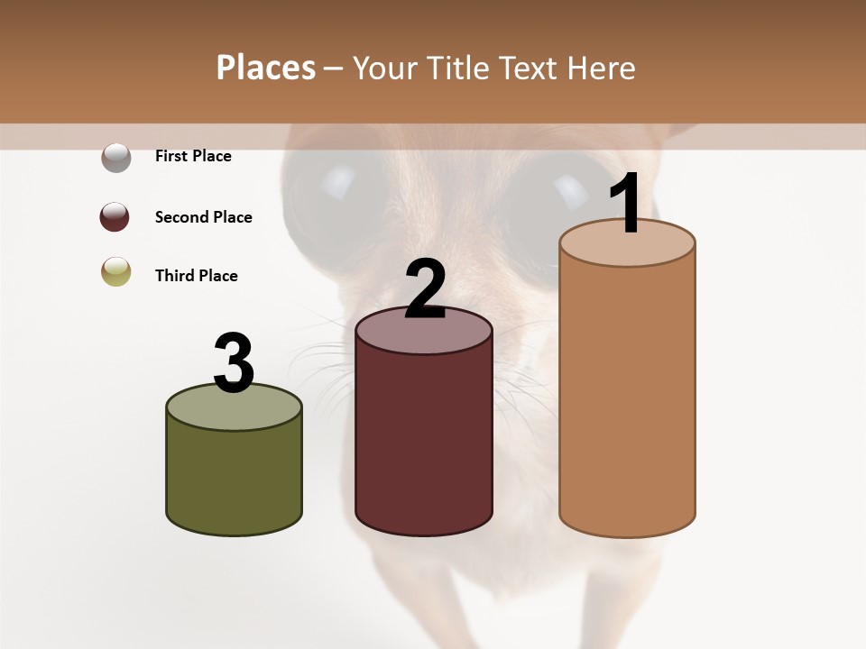 Tea Cup Mexican Spanish PowerPoint Template