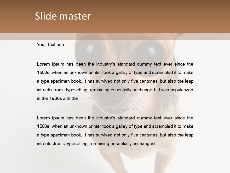 Tea Cup Mexican Spanish PowerPoint Template