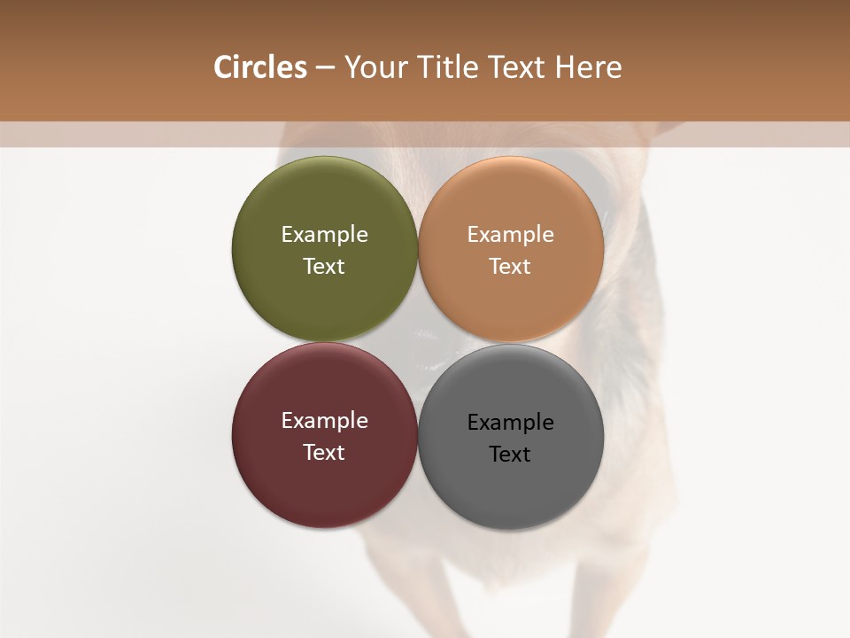 Tea Cup Mexican Spanish PowerPoint Template