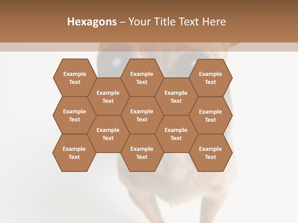 Tea Cup Mexican Spanish PowerPoint Template