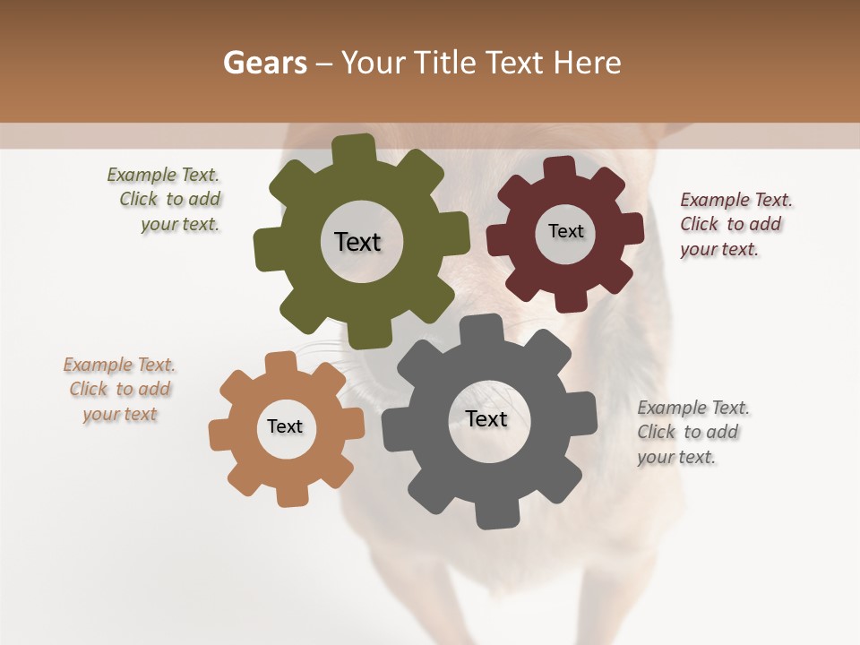 Tea Cup Mexican Spanish PowerPoint Template