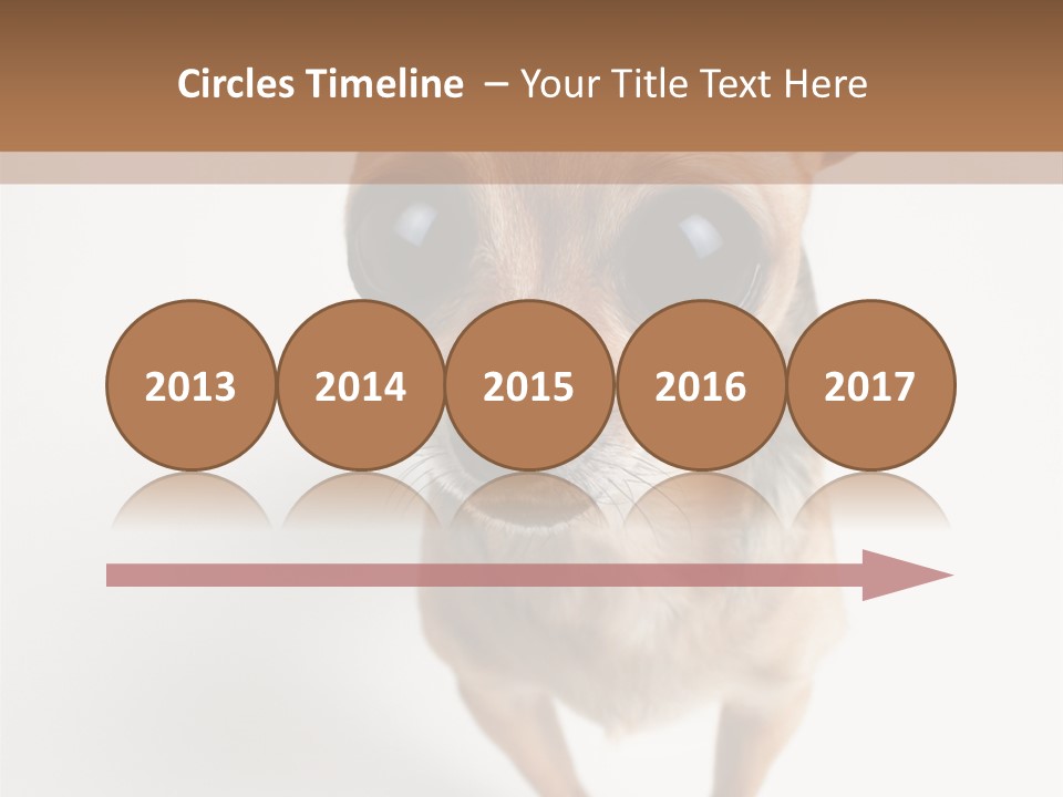 Tea Cup Mexican Spanish PowerPoint Template