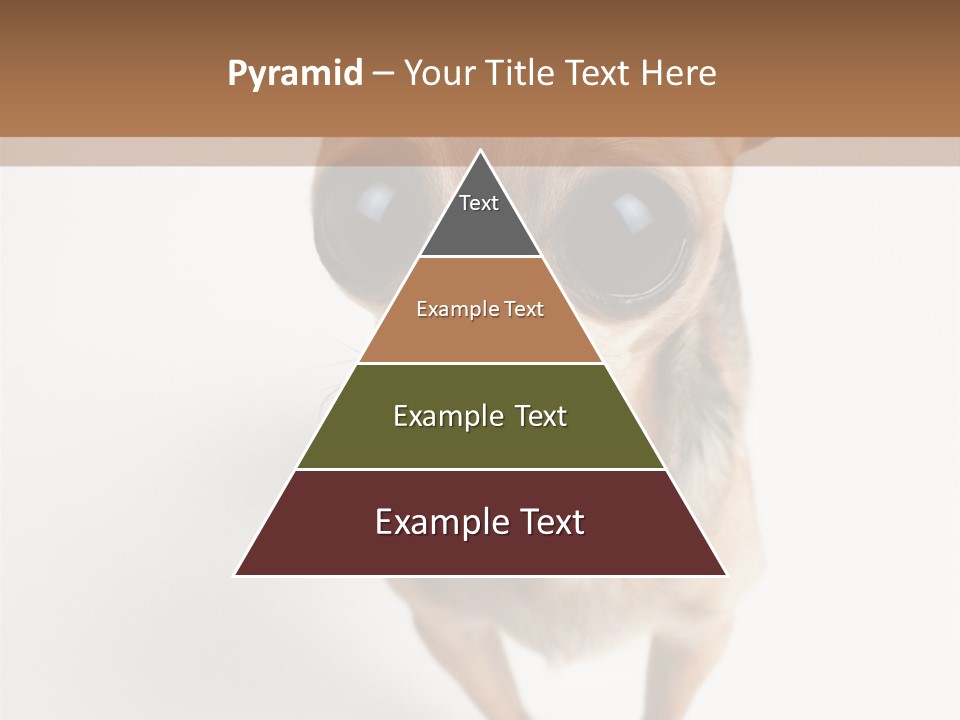 Tea Cup Mexican Spanish PowerPoint Template