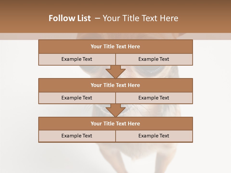 Tea Cup Mexican Spanish PowerPoint Template