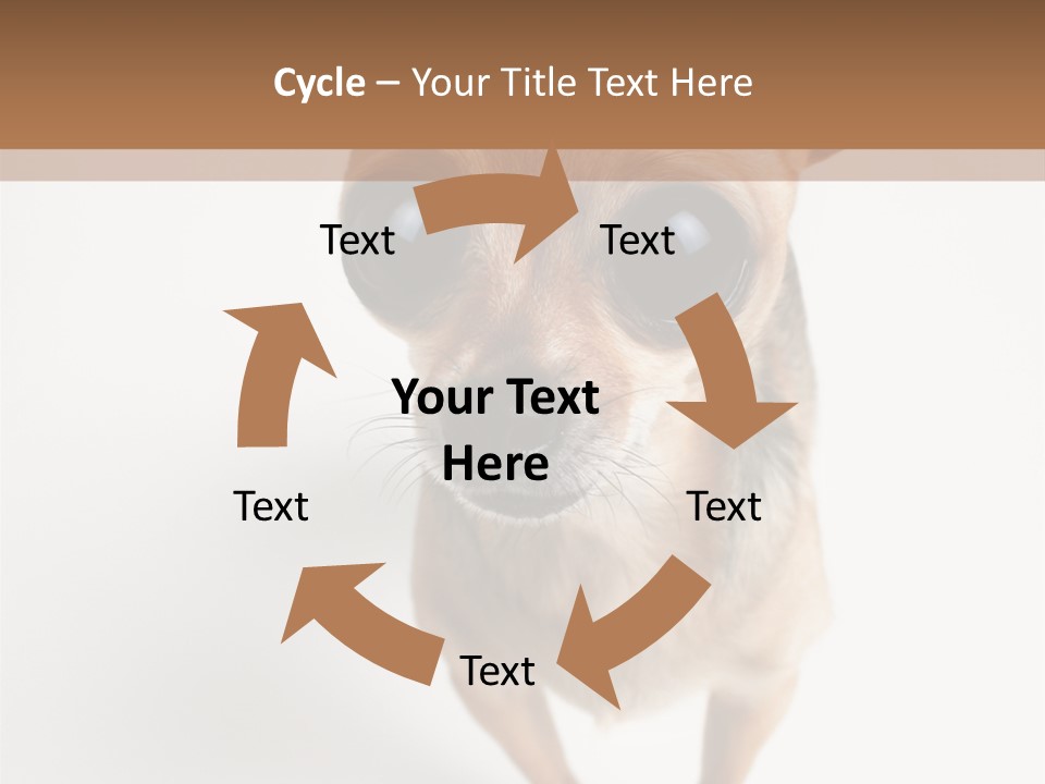 Tea Cup Mexican Spanish PowerPoint Template