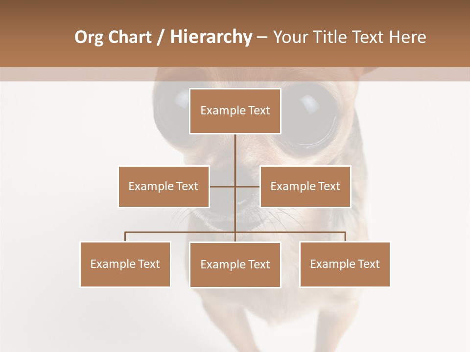 Tea Cup Mexican Spanish PowerPoint Template