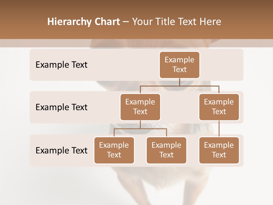 Tea Cup Mexican Spanish PowerPoint Template
