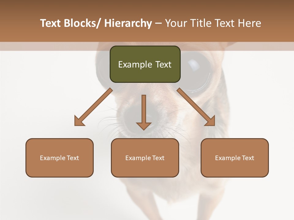 Tea Cup Mexican Spanish PowerPoint Template