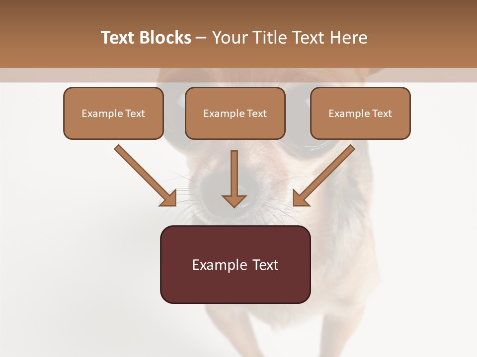 Tea Cup Mexican Spanish PowerPoint Template