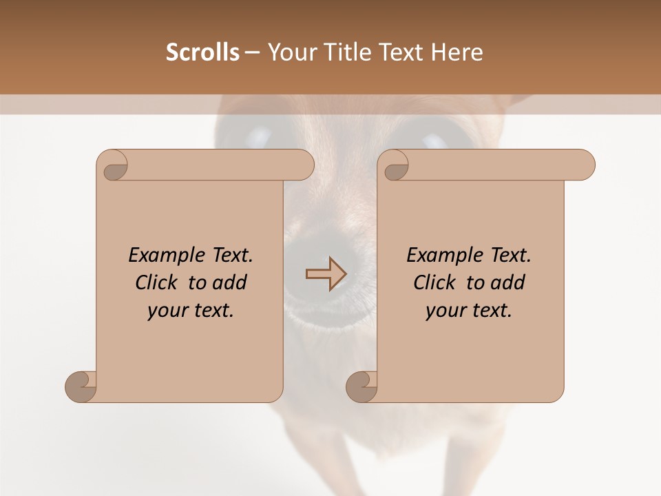 Tea Cup Mexican Spanish PowerPoint Template