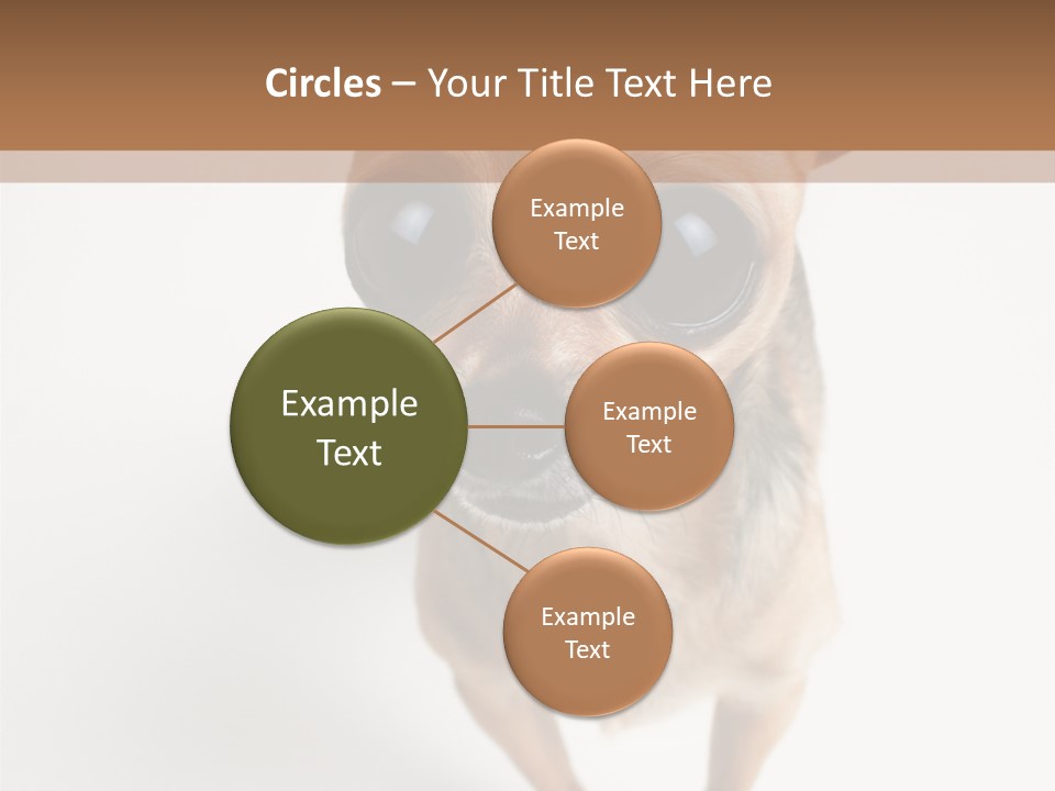 Tea Cup Mexican Spanish PowerPoint Template