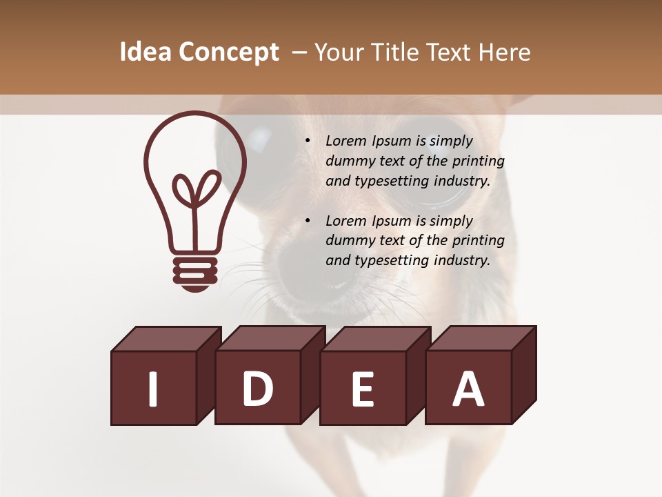 Tea Cup Mexican Spanish PowerPoint Template