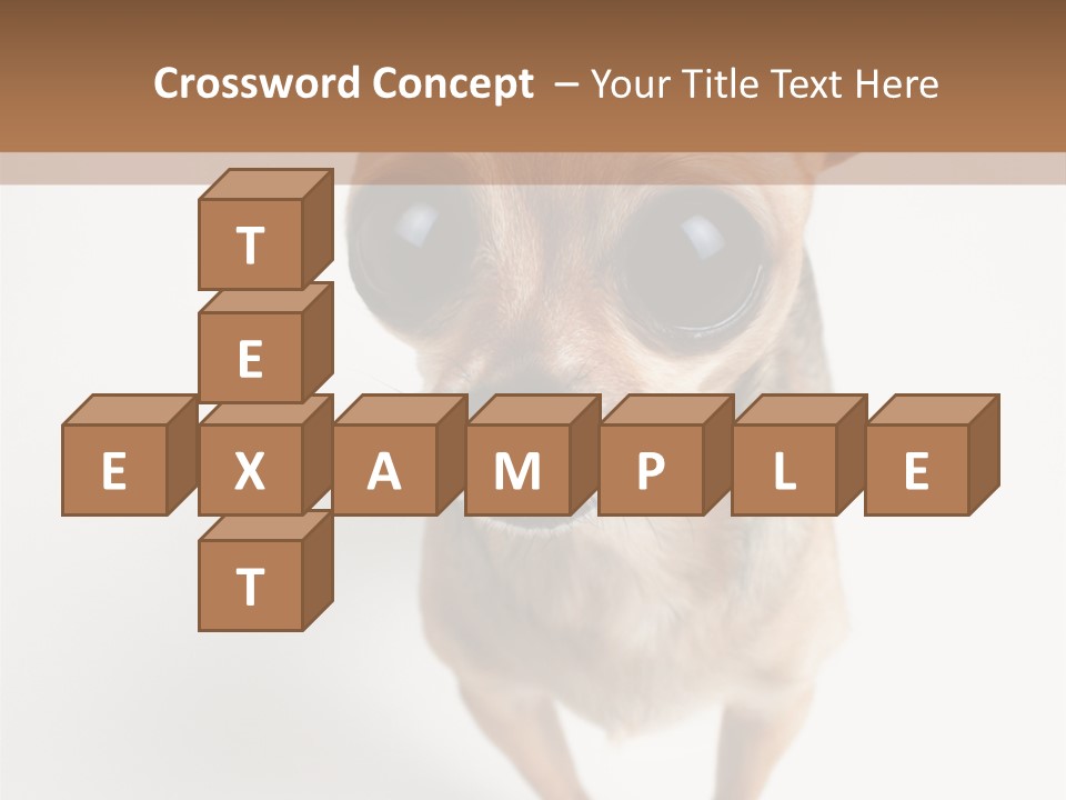 Tea Cup Mexican Spanish PowerPoint Template