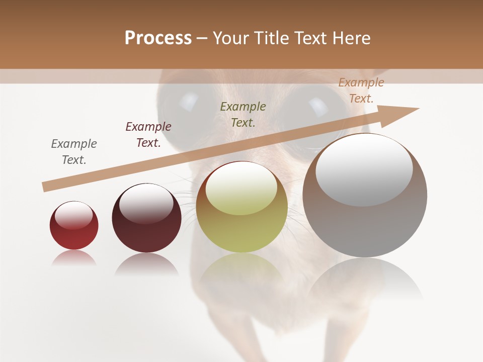 Tea Cup Mexican Spanish PowerPoint Template