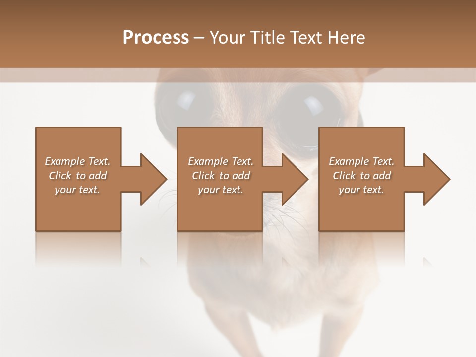 Tea Cup Mexican Spanish PowerPoint Template
