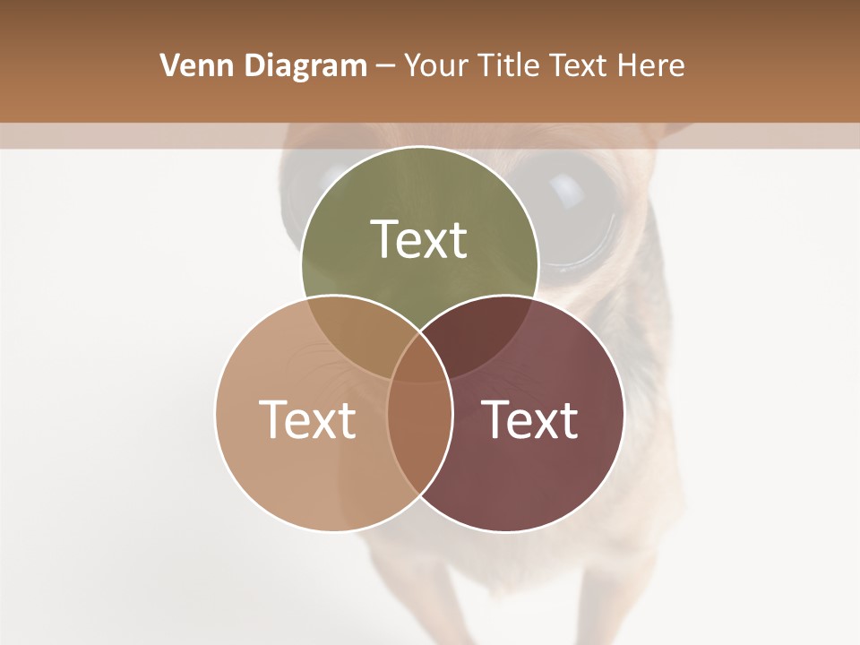 Tea Cup Mexican Spanish PowerPoint Template