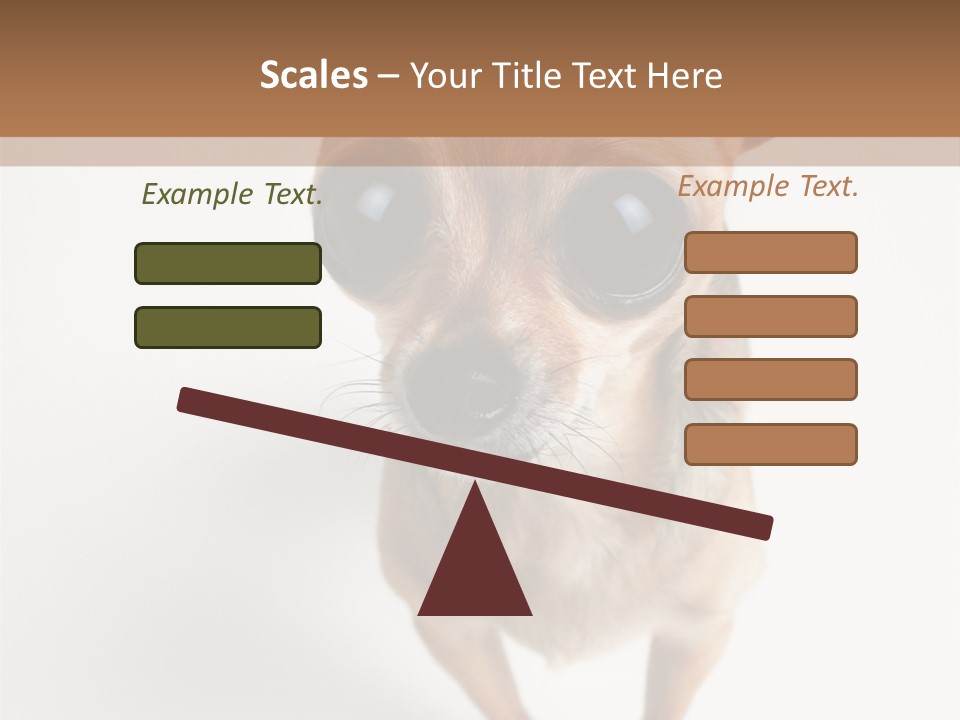 Tea Cup Mexican Spanish PowerPoint Template