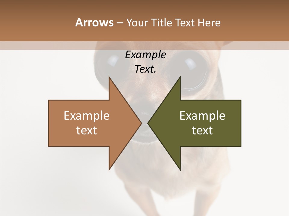 Tea Cup Mexican Spanish PowerPoint Template