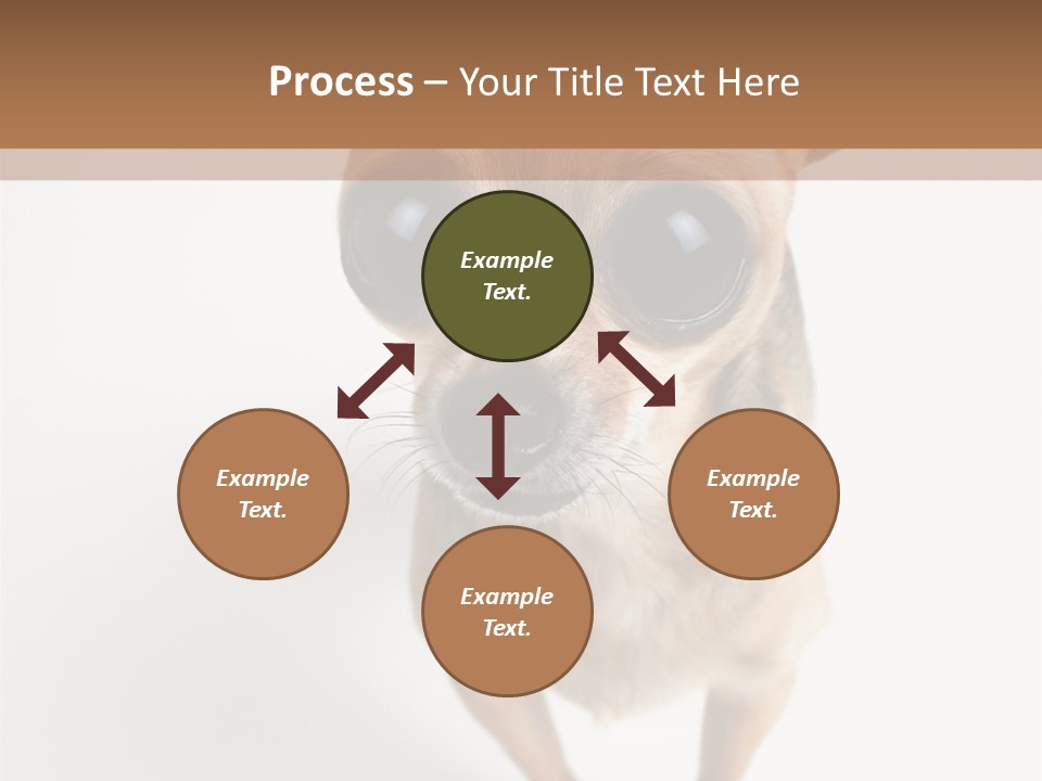 Tea Cup Mexican Spanish PowerPoint Template