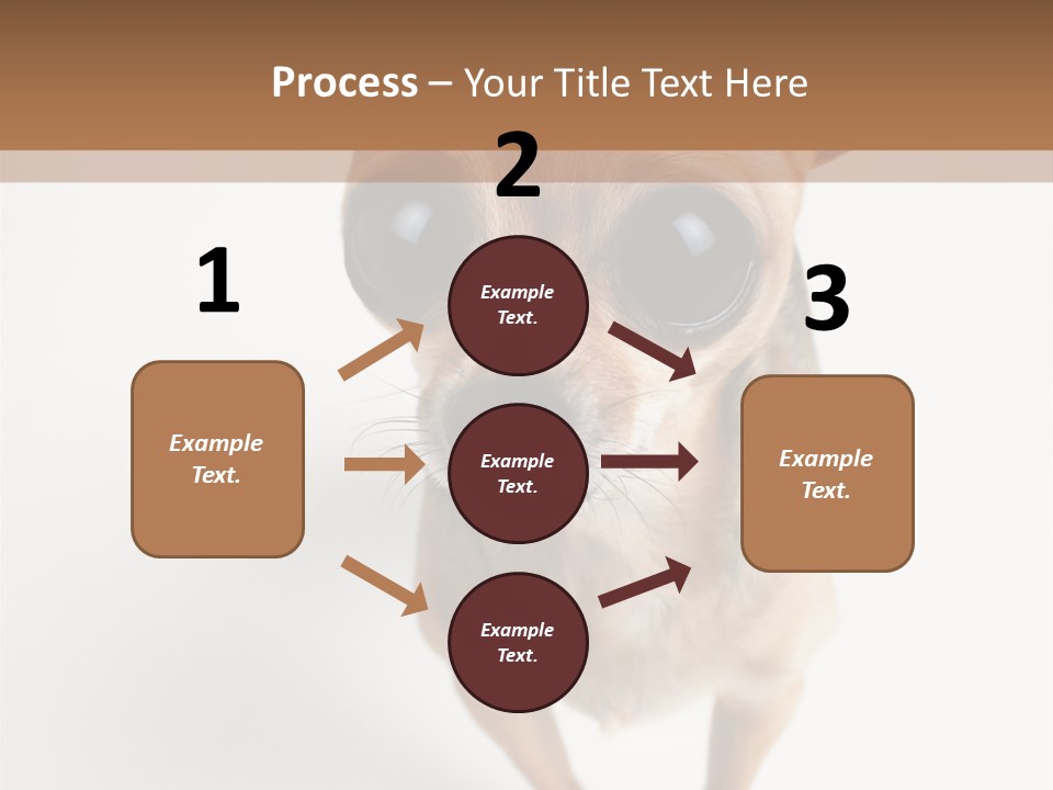 Tea Cup Mexican Spanish PowerPoint Template