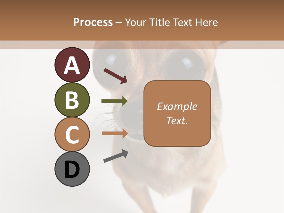 Tea Cup Mexican Spanish PowerPoint Template