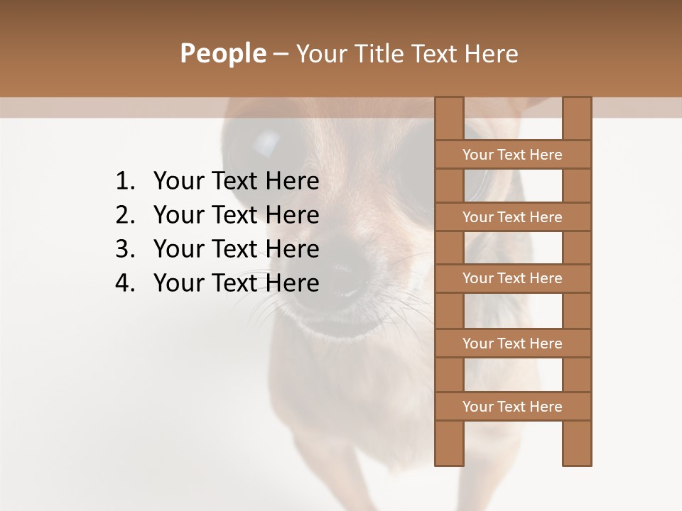 Tea Cup Mexican Spanish PowerPoint Template