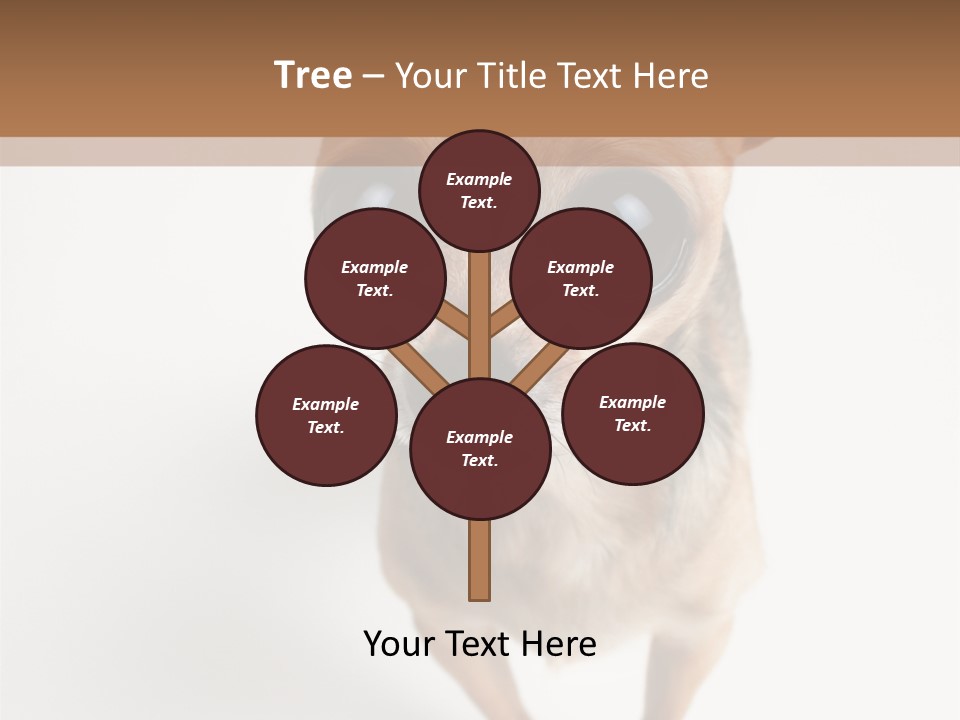 Tea Cup Mexican Spanish PowerPoint Template