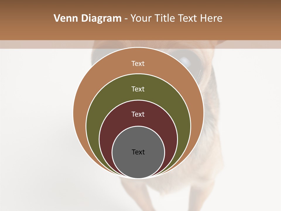 Tea Cup Mexican Spanish PowerPoint Template