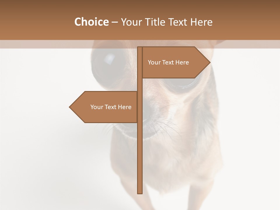 Tea Cup Mexican Spanish PowerPoint Template