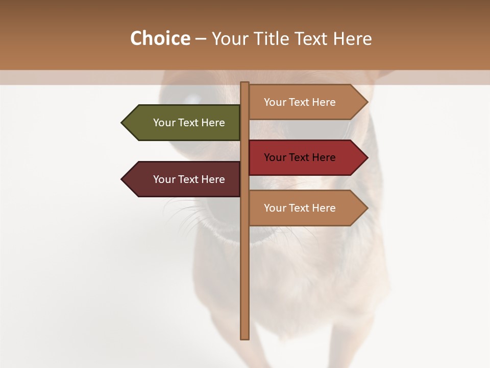 Tea Cup Mexican Spanish PowerPoint Template