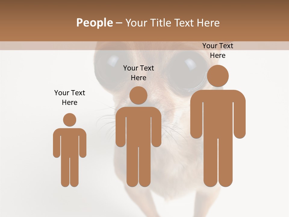 Tea Cup Mexican Spanish PowerPoint Template