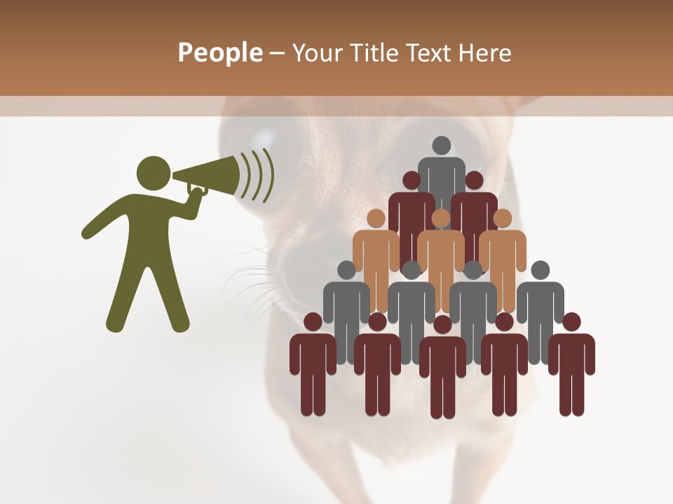 Tea Cup Mexican Spanish PowerPoint Template