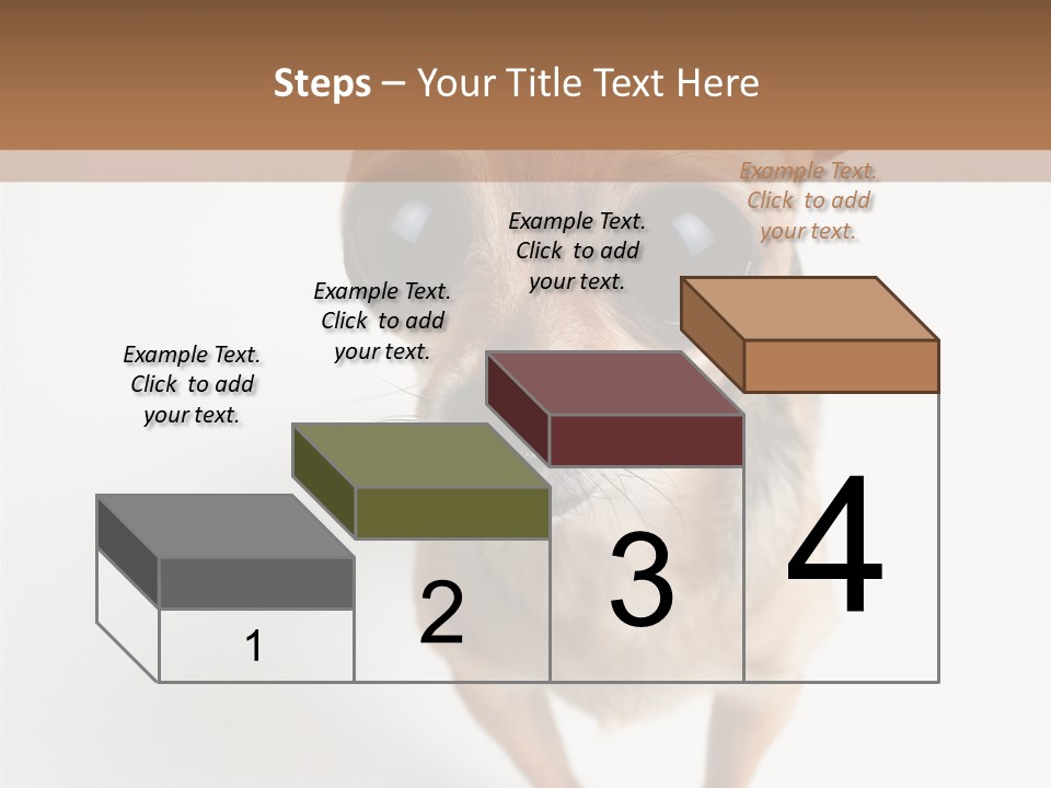 Tea Cup Mexican Spanish PowerPoint Template