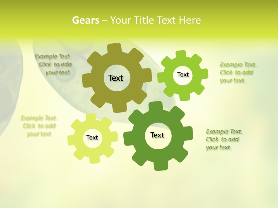 Drops Sunshine Blurred PowerPoint Template