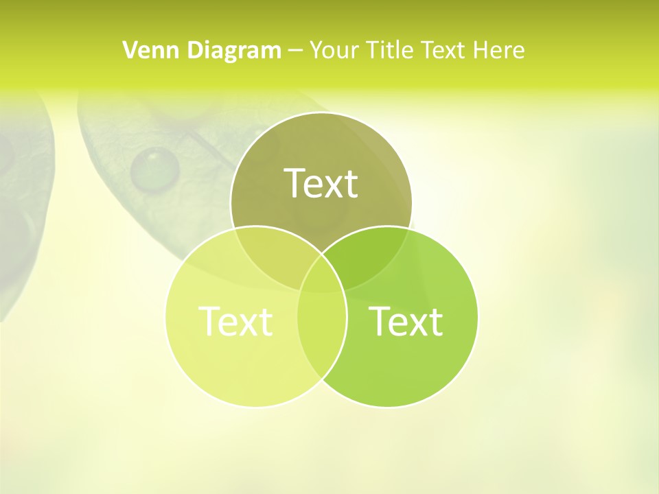 Drops Sunshine Blurred PowerPoint Template