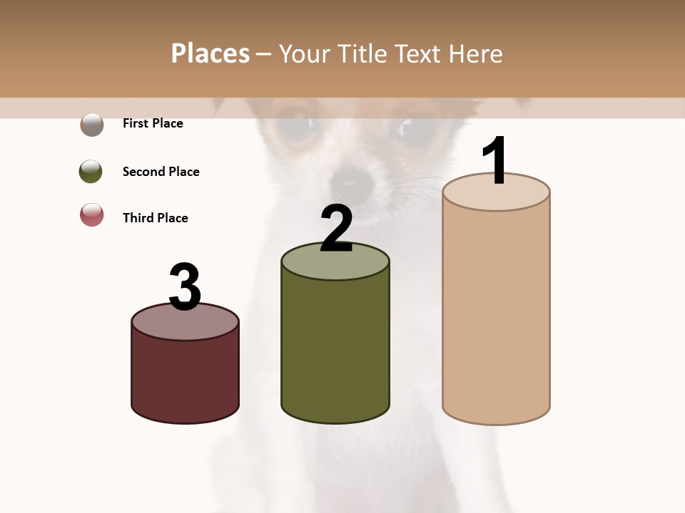 White Staring Sitting PowerPoint Template