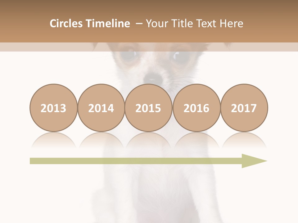 White Staring Sitting PowerPoint Template