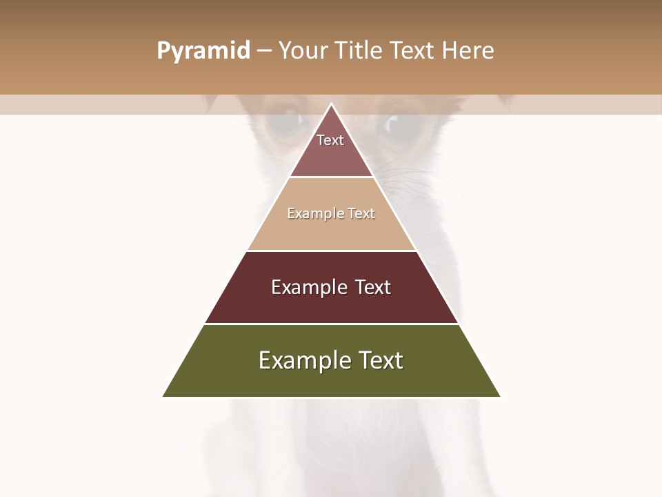 White Staring Sitting PowerPoint Template