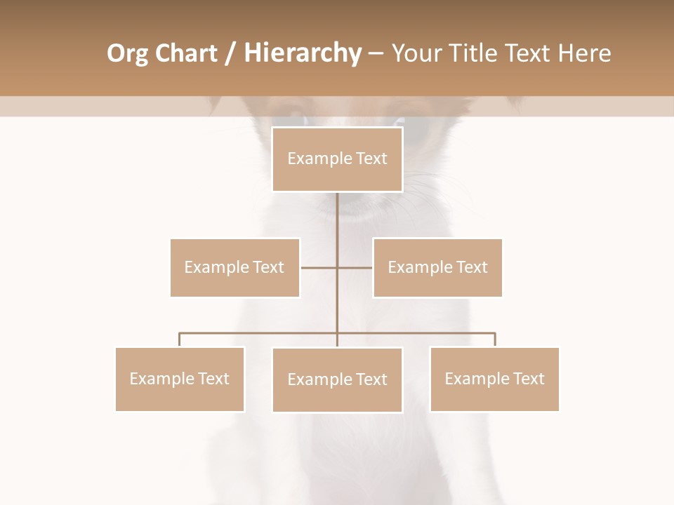 White Staring Sitting PowerPoint Template