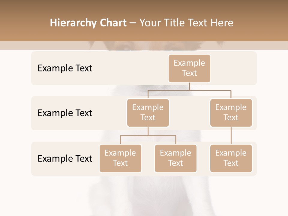White Staring Sitting PowerPoint Template