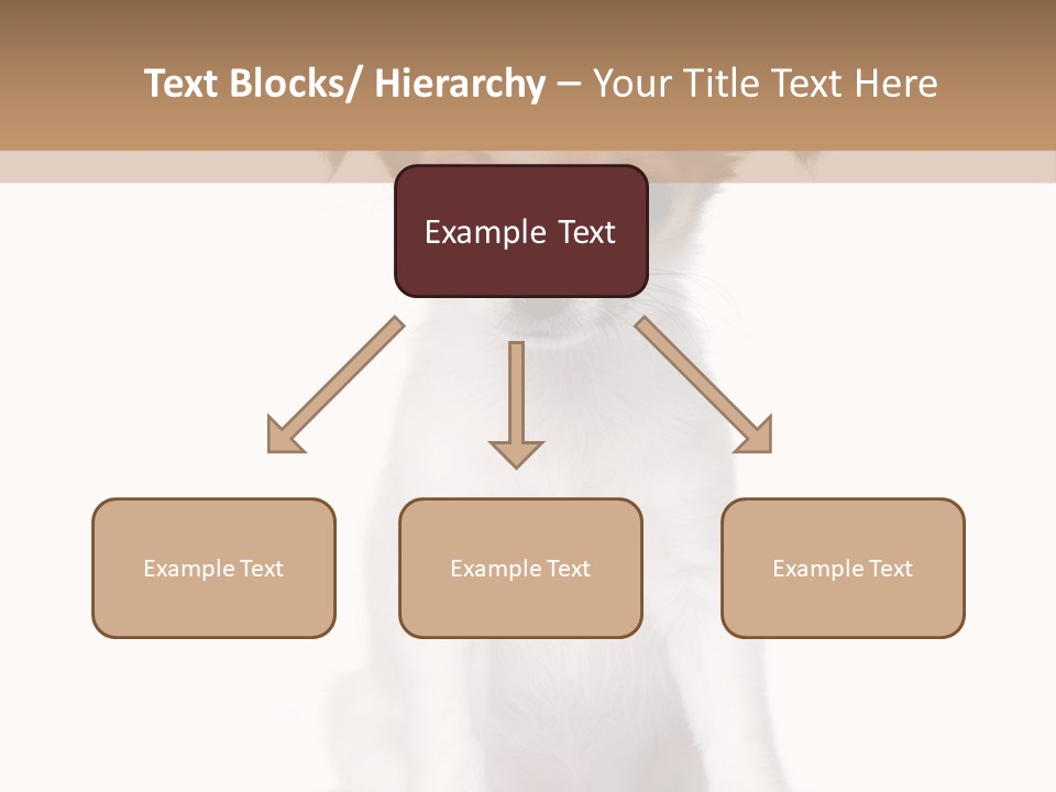 White Staring Sitting PowerPoint Template
