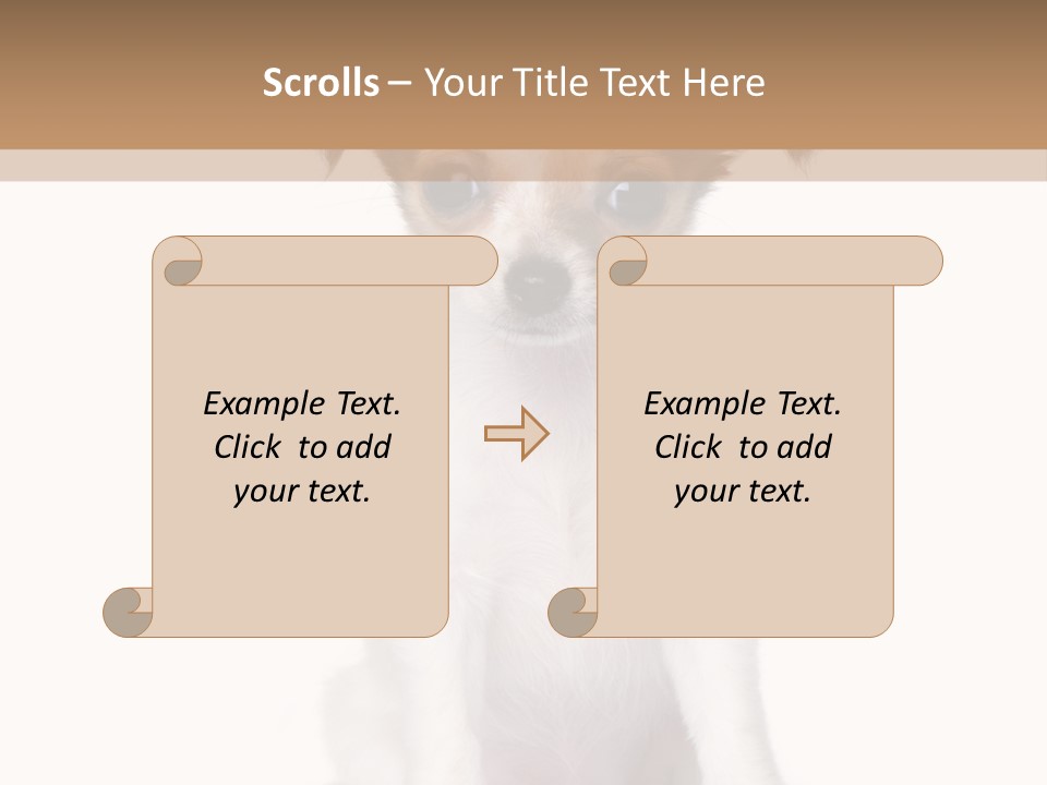 White Staring Sitting PowerPoint Template