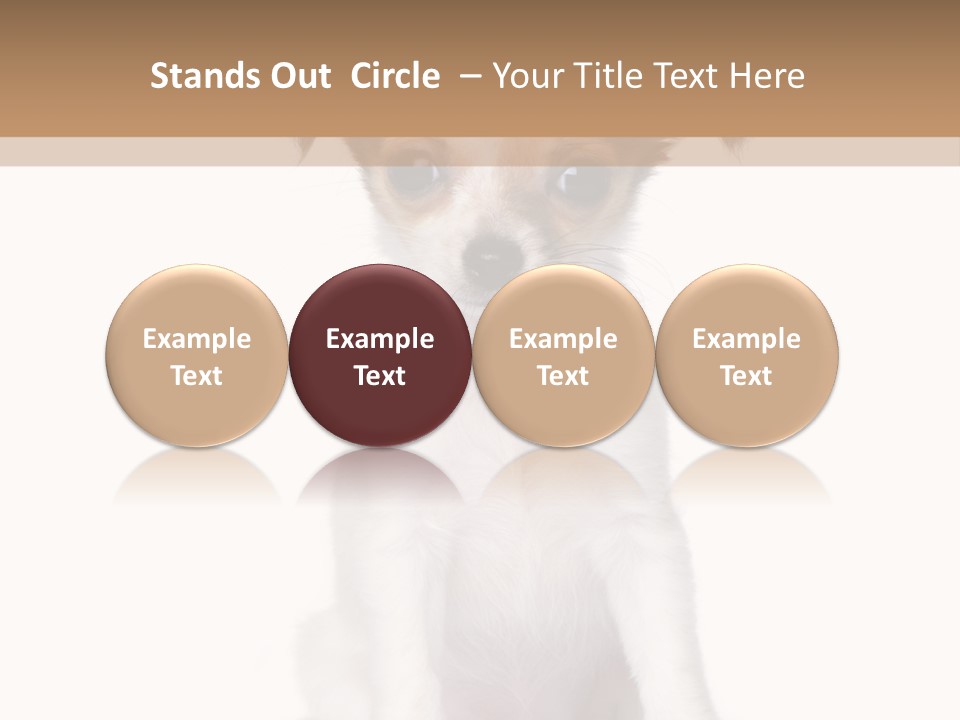 White Staring Sitting PowerPoint Template