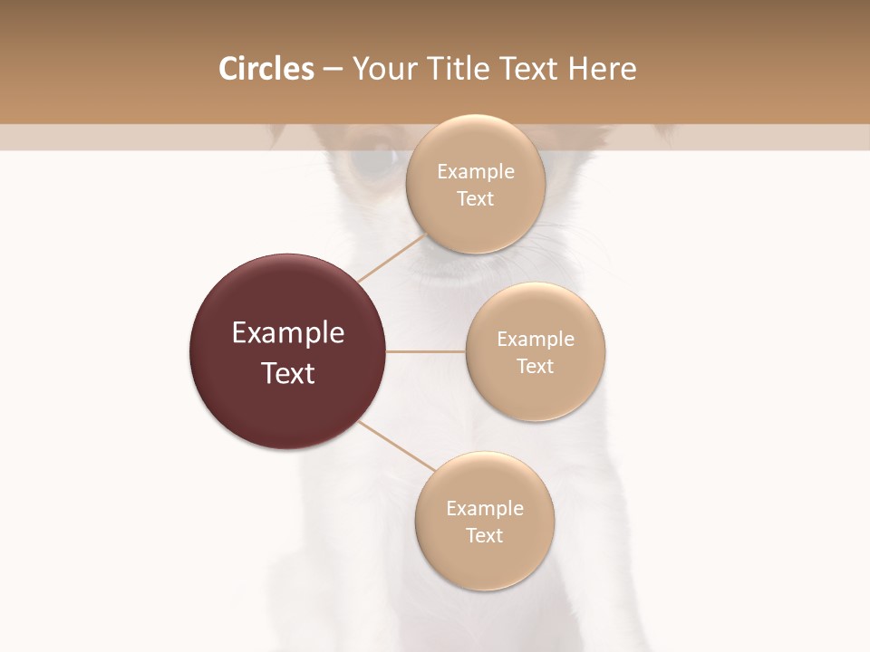 White Staring Sitting PowerPoint Template