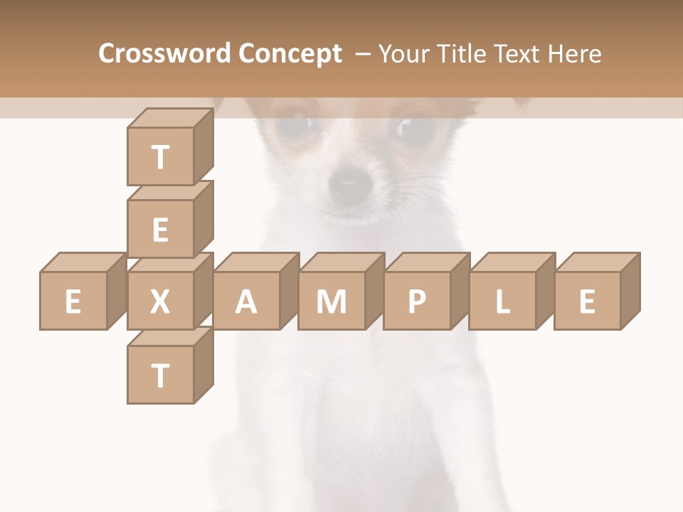 White Staring Sitting PowerPoint Template