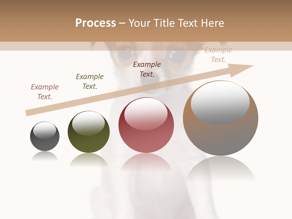 White Staring Sitting PowerPoint Template