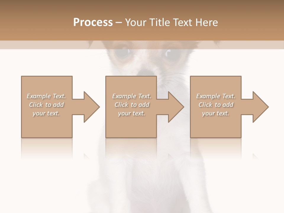 White Staring Sitting PowerPoint Template