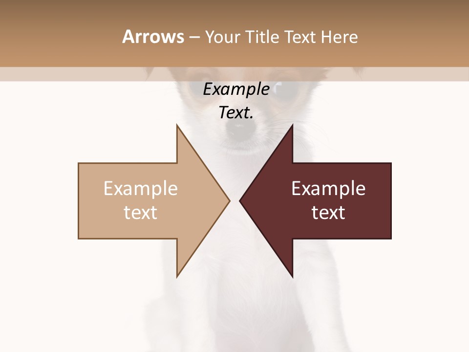 White Staring Sitting PowerPoint Template