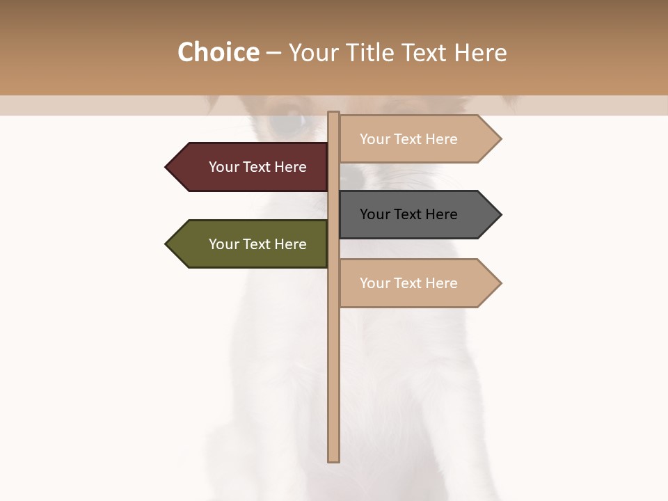 White Staring Sitting PowerPoint Template