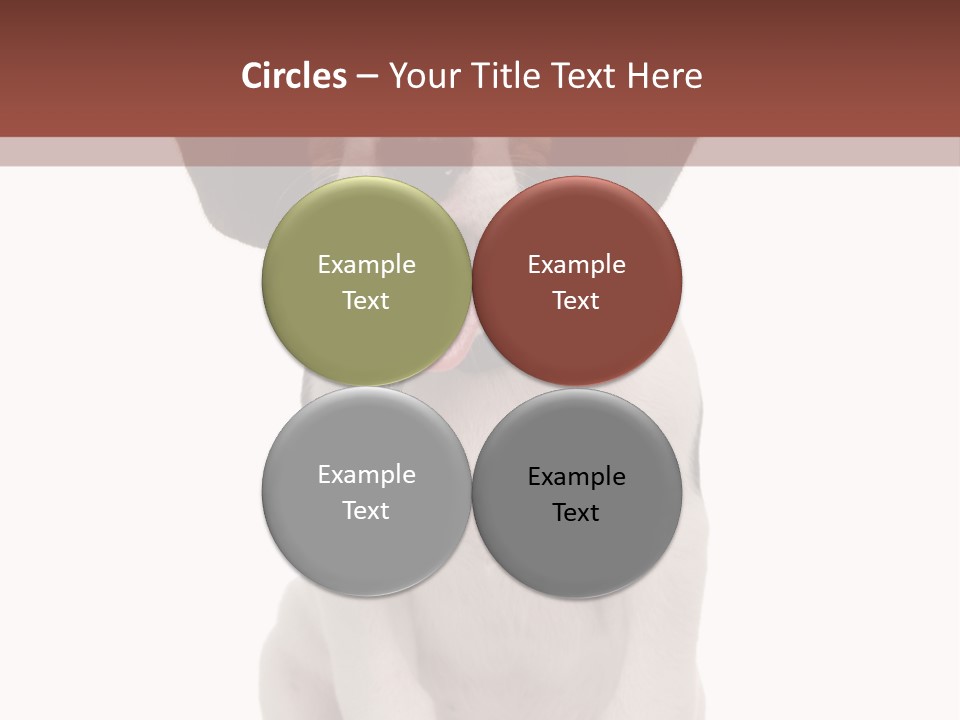 A Dog Sitting Down With His Tongue Out PowerPoint Template